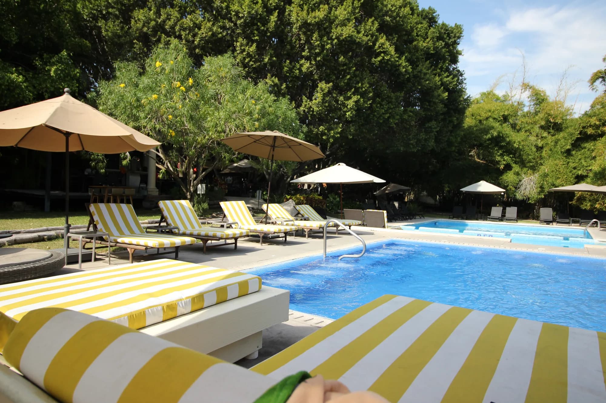 Alberca de Hotel Los Laureles con camastros a rayas y sombrillas bajo la arboleda