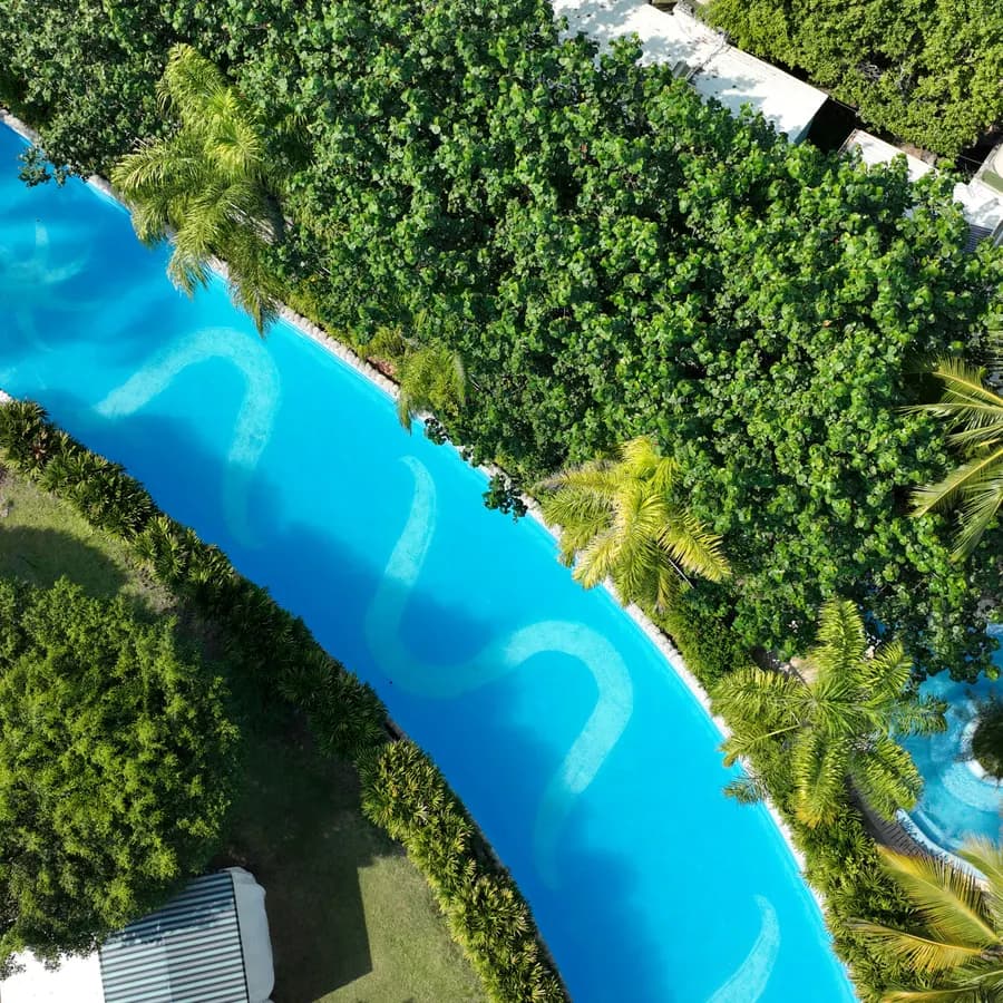Vista aérea del río de olas rodeado de palmeras